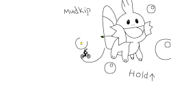 Mudkip